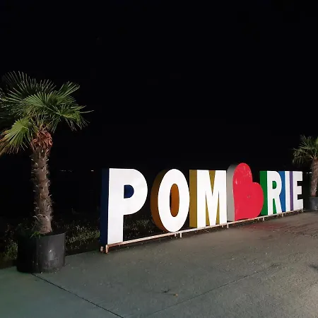 Taligarov * Gmina Pomorie